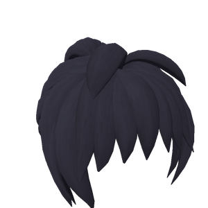 DarkShortPonytail.png