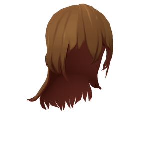 BrownLongHair.png