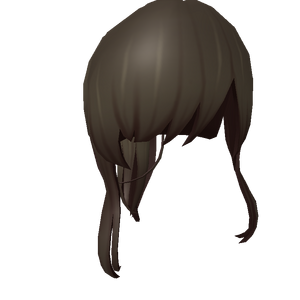 BlackStylizedPonytail.png